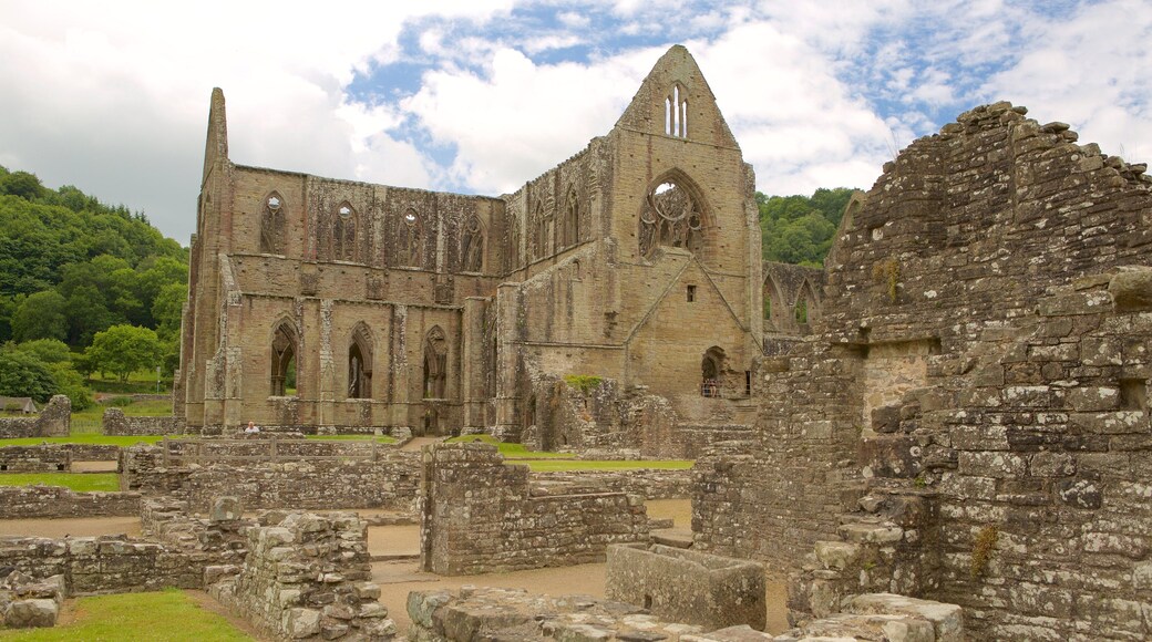 Abdij van Tintern inclusief historisch erfgoed, historische architectuur en een ruïne