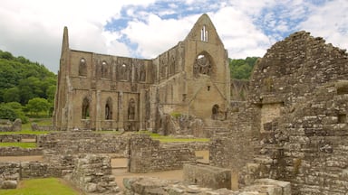 The ruins of a large, historic stone building with multiple arches and a tall, narrow tower.