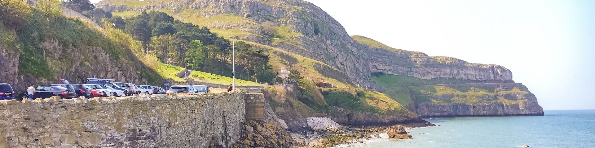 Caught this seagull before he could steal my ice cream