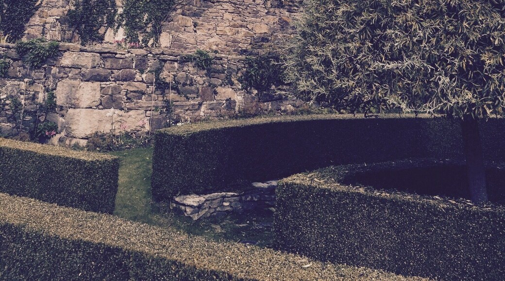 The girls recommend the spa.