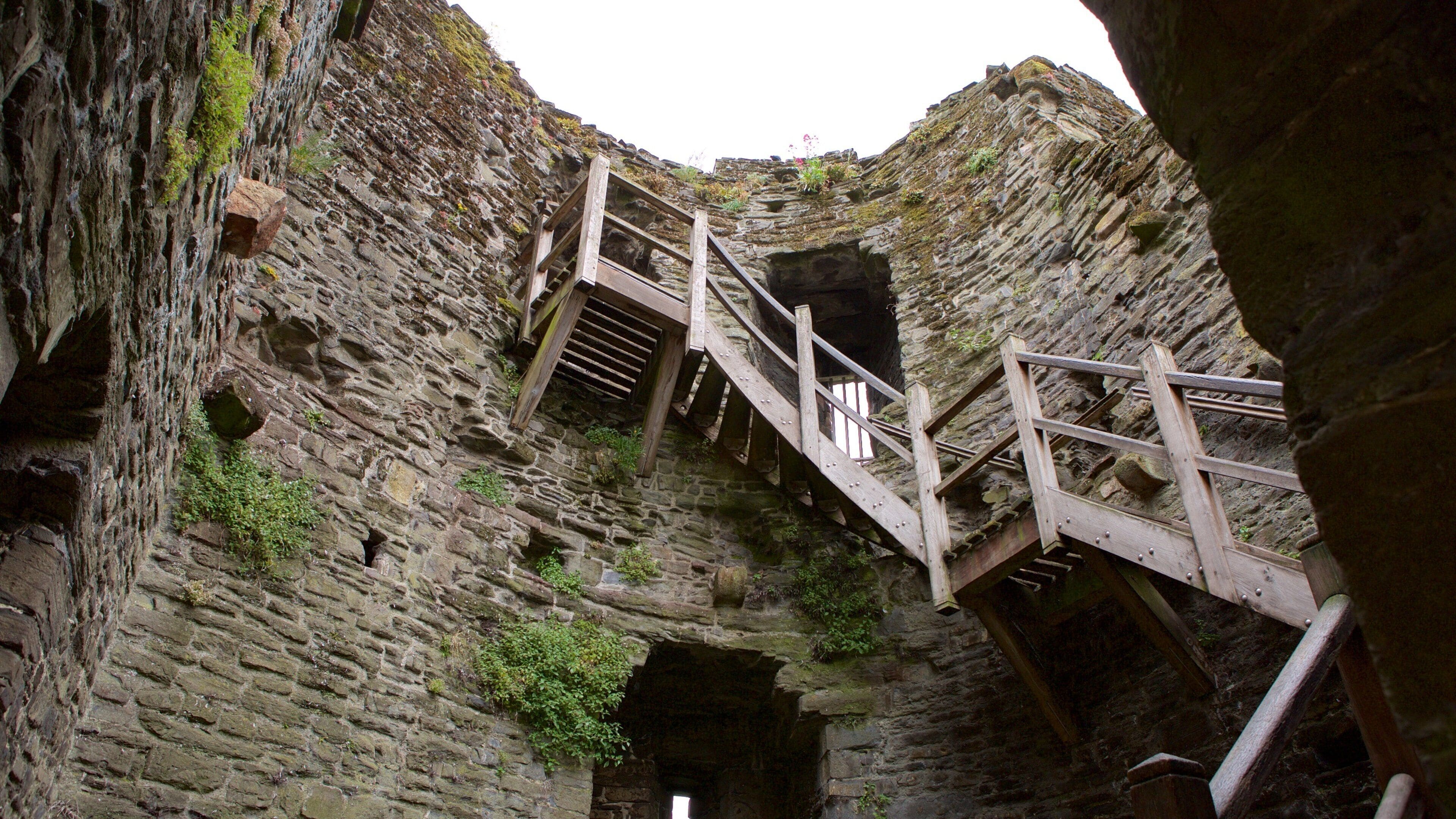 Una scala di pietra in una grotta rocciosa con ringhiere in legno.