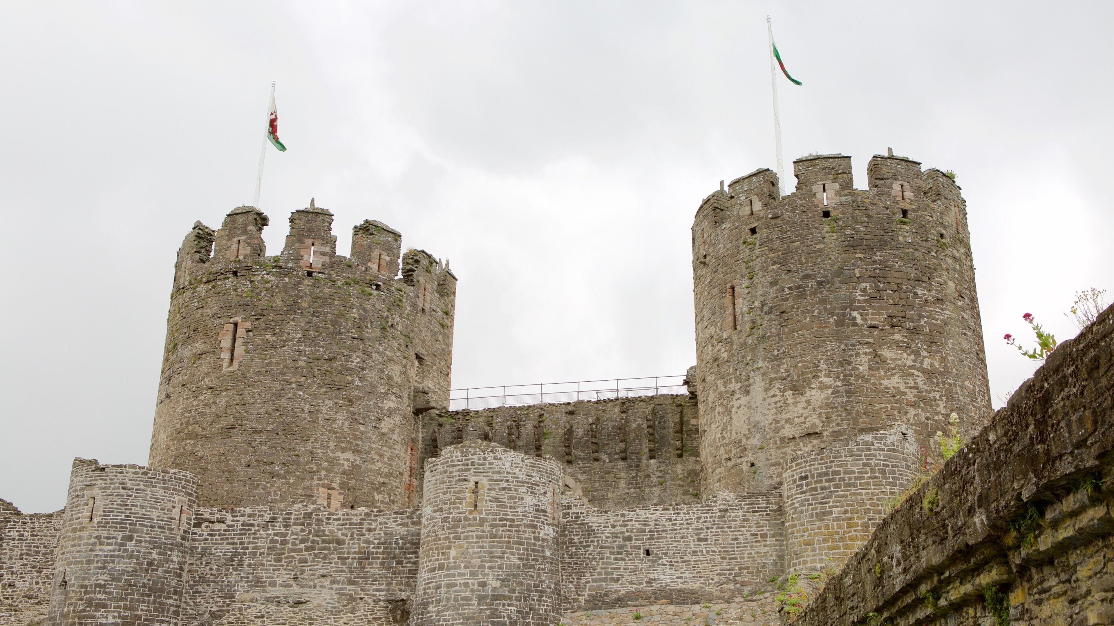 Un castello storico con due torri imponenti, un muro di pietra e una bandiera sulla cima di una delle torri.