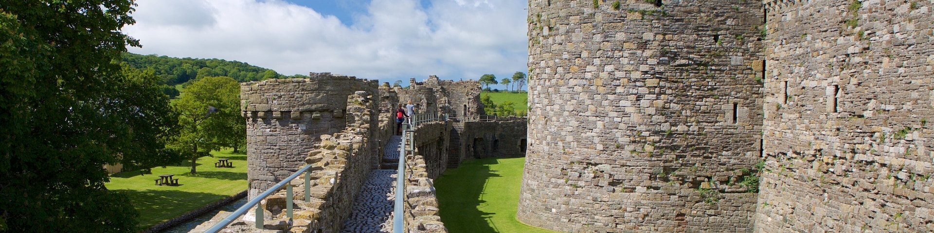Beaumaris Castle featuring heritage elements, chateau or palace and heritage architecture