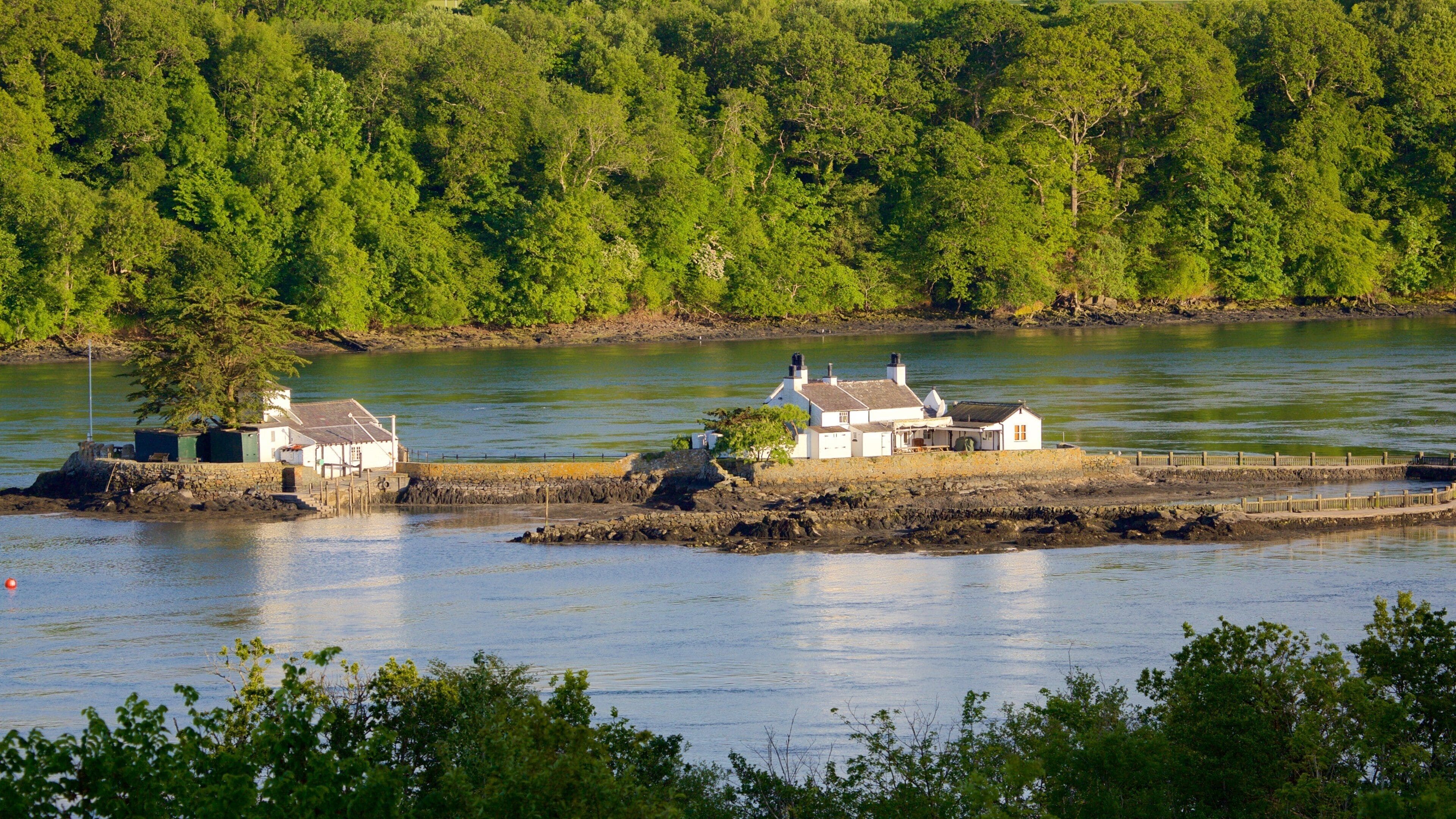 Menai Bridge featuring forest scenes and a river or creek