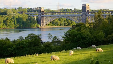 Menai Bridge mit einem Farmland, Brücke und Fluss oder Bach
