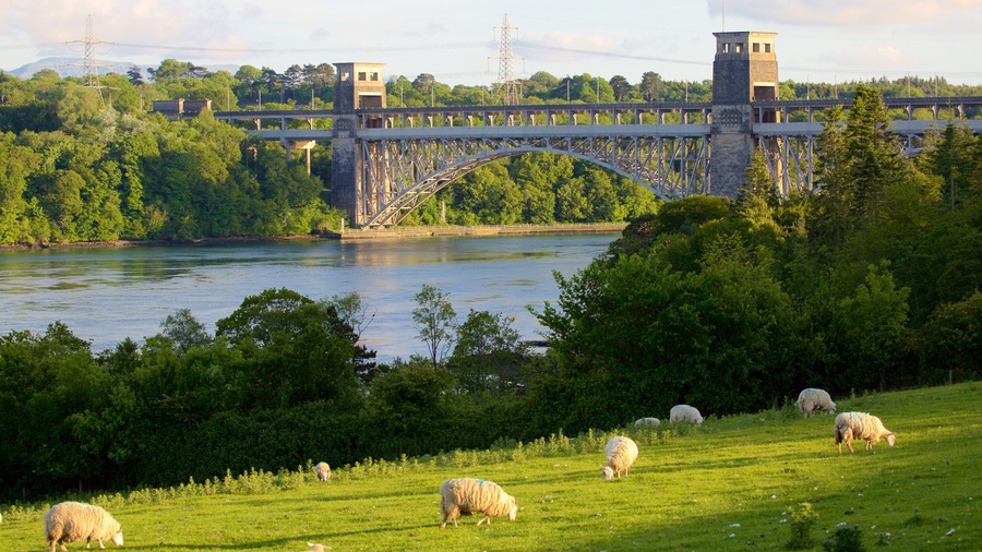 Menai Bridge featuring farmland, a bridge and a river or creek