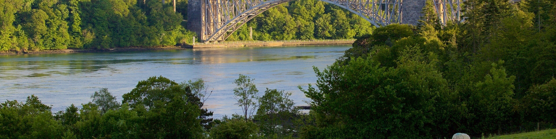 Menai Bridge ofreciendo un río o arroyo, un puente y tierra de cultivo