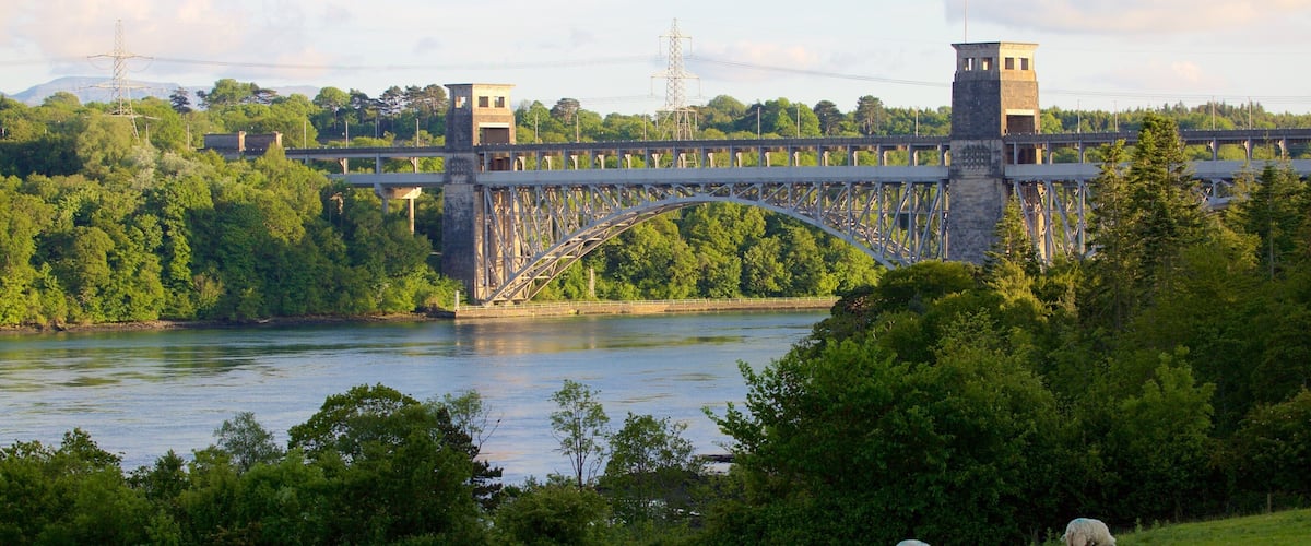 A river, a bridge, and grazing sheep.