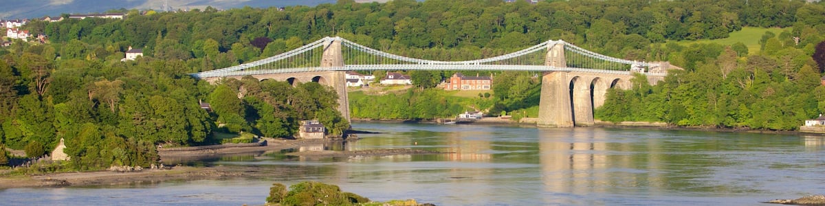 A suspension bridge over a river, surrounded by lush greenery and houses.