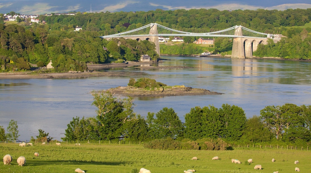 Menai Bridge bevat een brug, een rivier of beek en akkerland