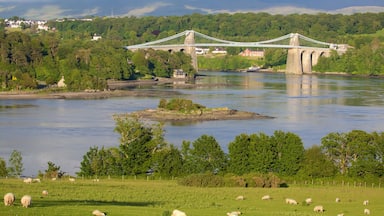 Menai Bridge showing farmland, a river or creek and a bridge