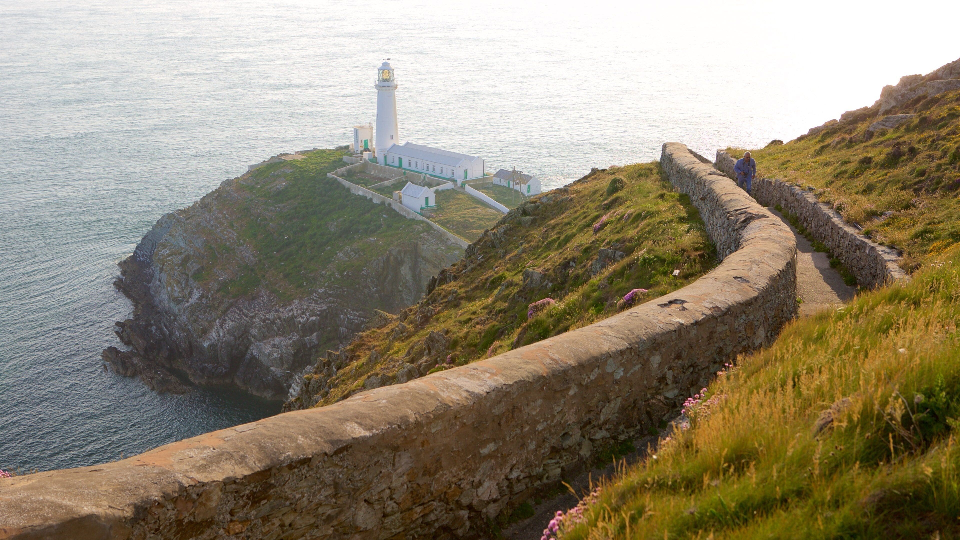 South Stack Lighthouse mostrando vista della costa, escursioni o camminate e costa rocciosa