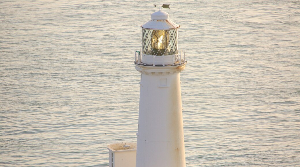 South Stack Lighthouse som inkluderer fyrtårn og kyst