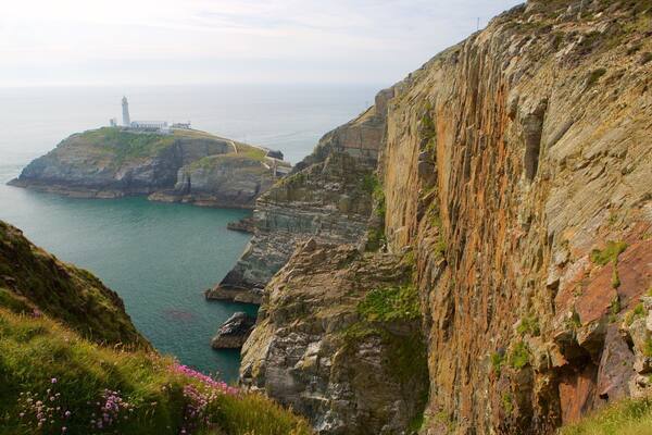 South Stack Lighthouse mit einem allgemeine Küstenansicht, Schlucht oder Canyon und schroffe Küste