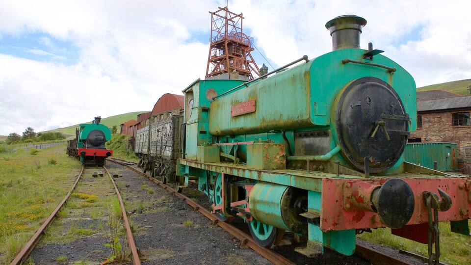 A green steam locomotive with a red tender, a red-roofed building, and a hill in the background.