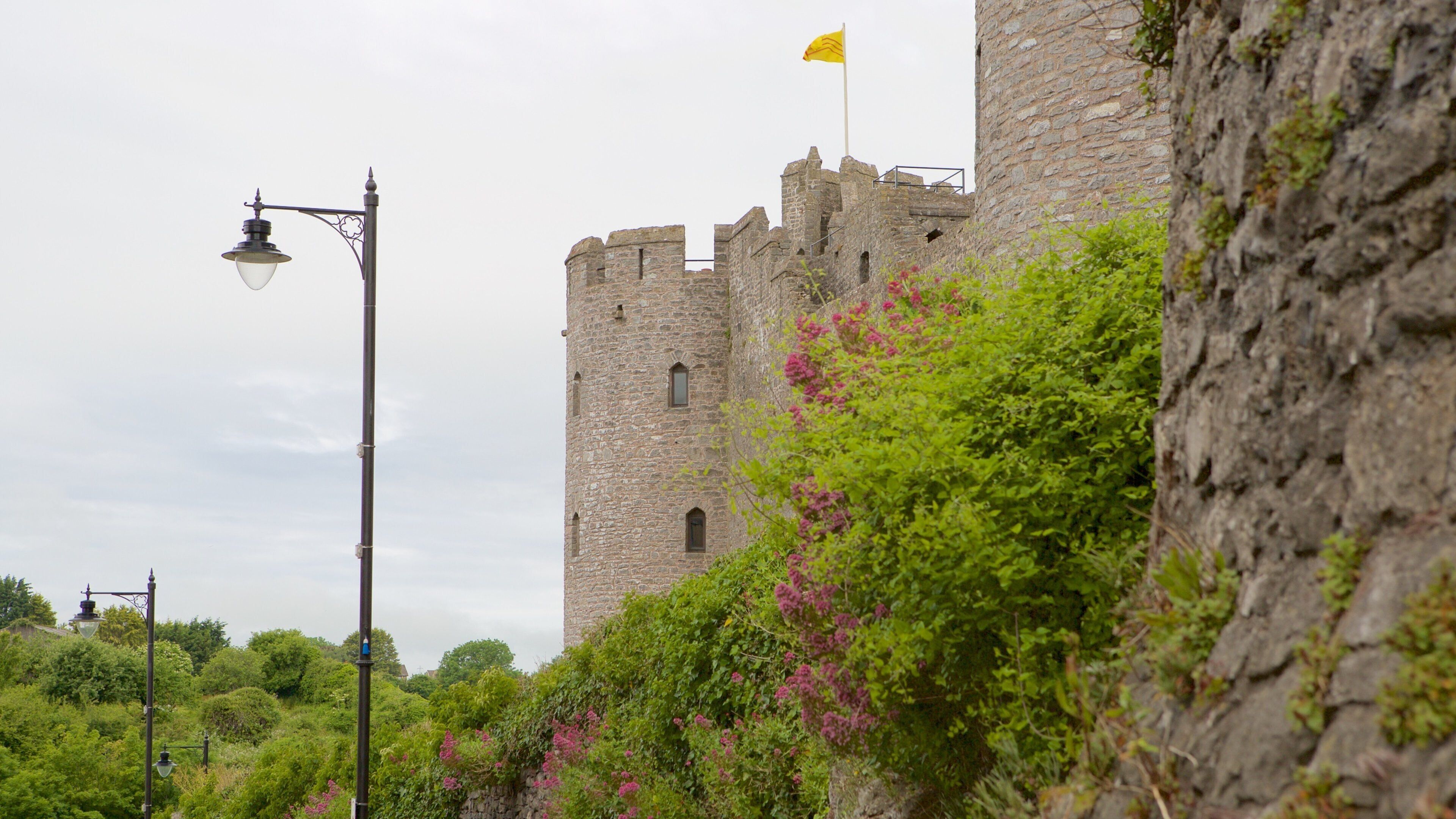 Pembroke Castle which includes chateau or palace