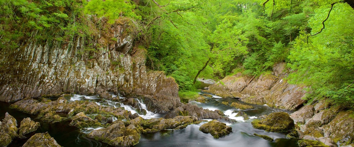 Swallow Falls which includes a river or creek and forest scenes