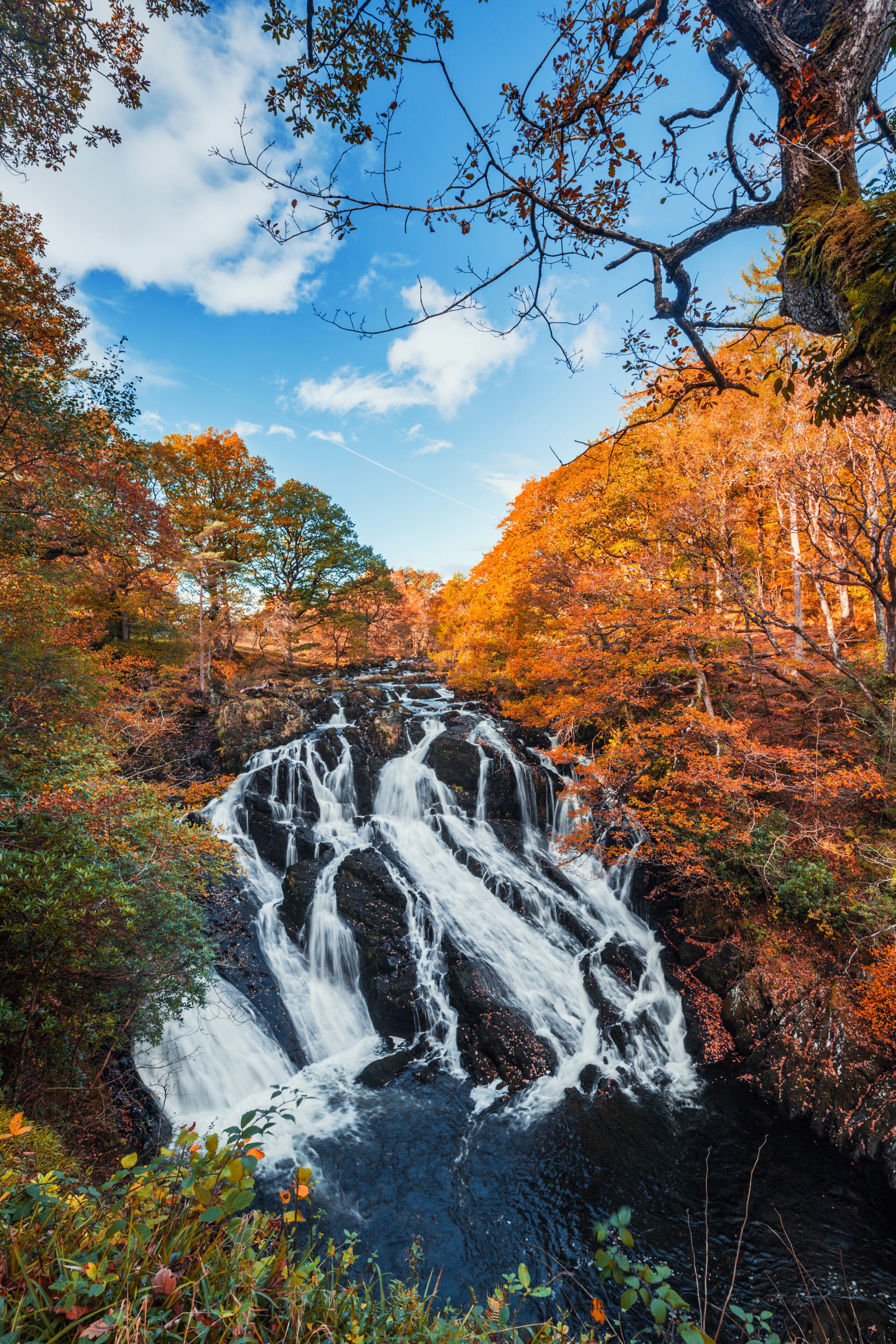 A waterfall surrounded by autumn foliage.