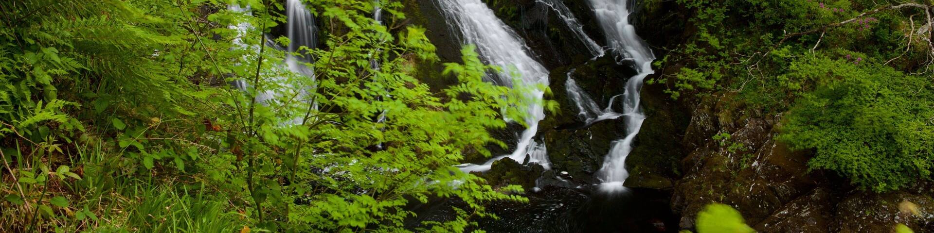 Swallow Falls which includes rainforest and a waterfall