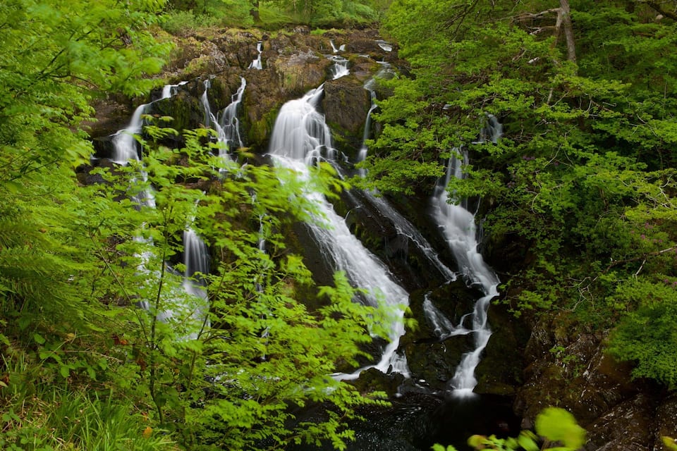 A multi-tiered waterfall surrounded by lush green foliage.