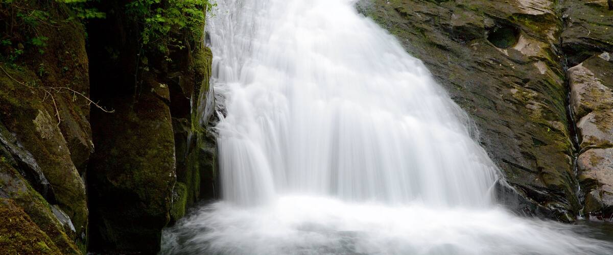 Swallow Falls which includes a cascade
