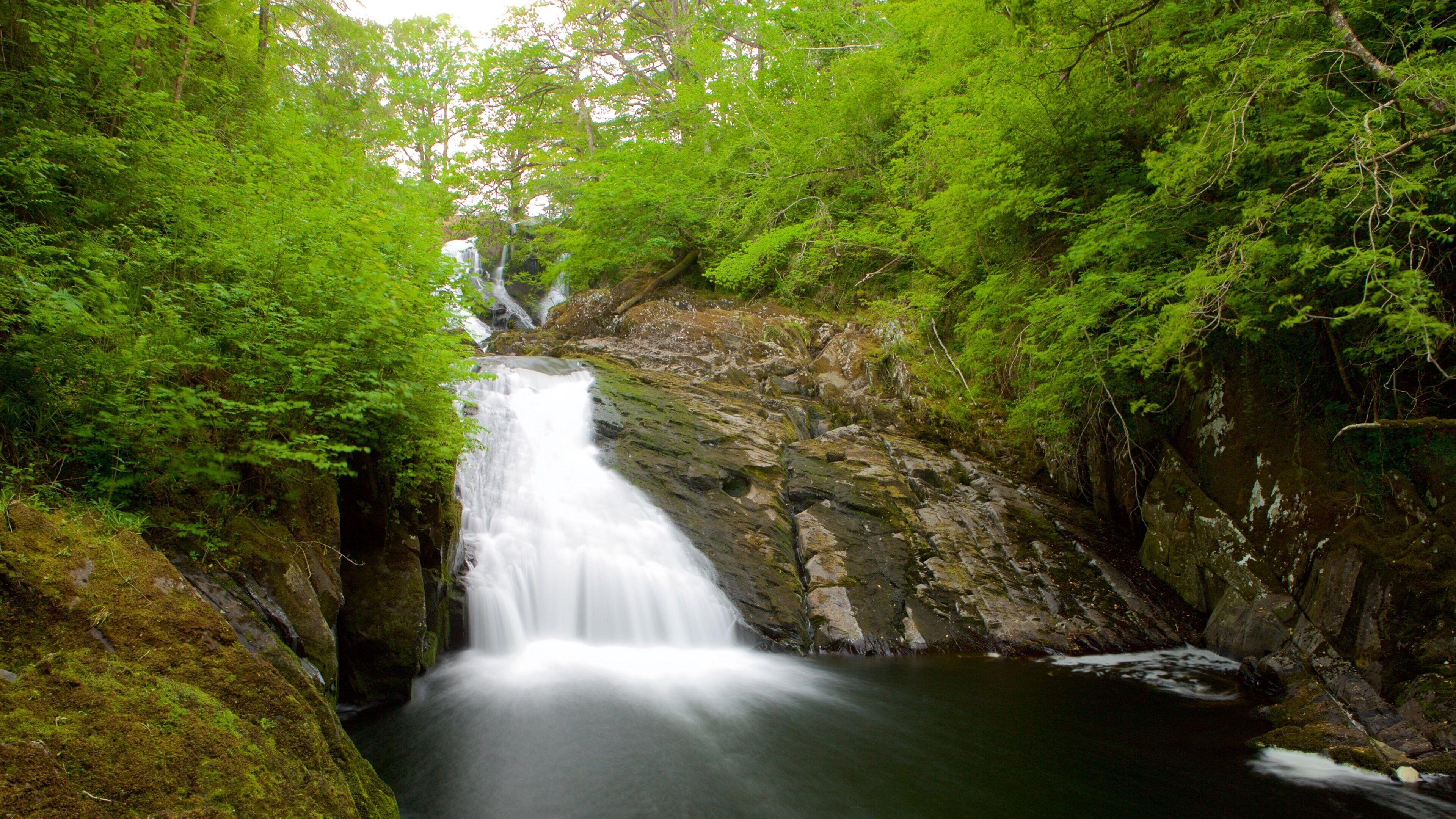 Swallow Falls which includes a river or creek, forest scenes and a cascade