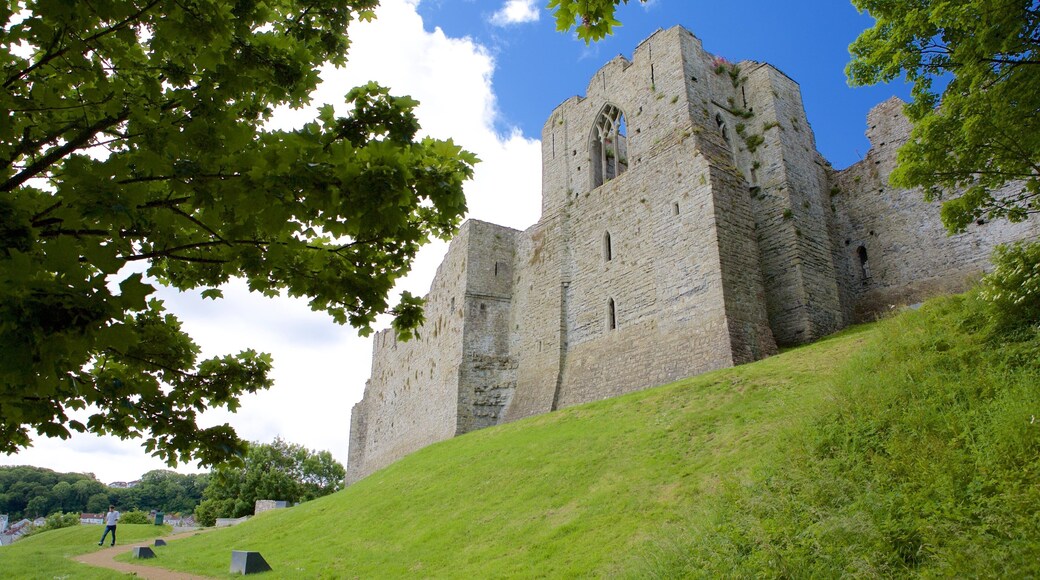 Oystermouth Castle som visar ett slott
