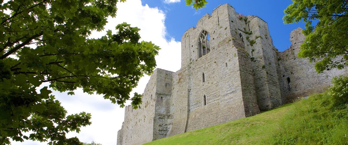 Oystermouth Castle which includes a castle