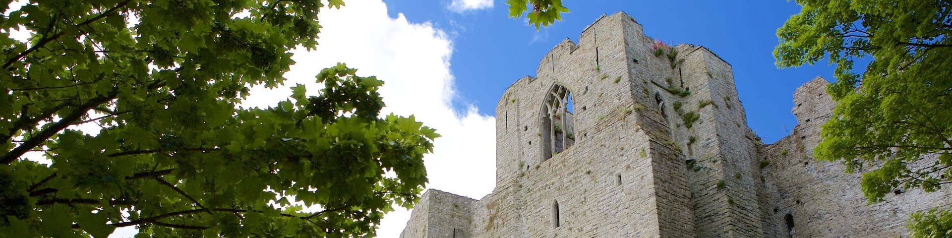 Oystermouth Castle das einen Burg