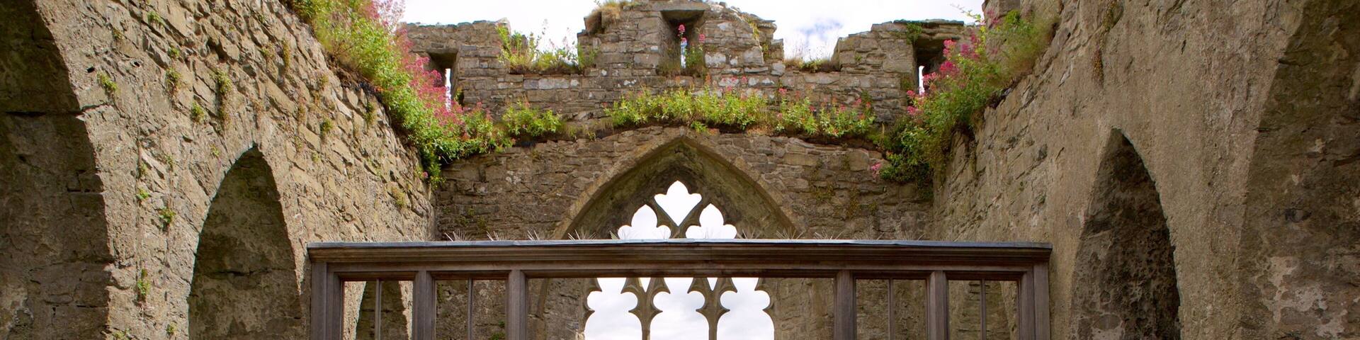Oystermouth Castle ofreciendo elementos del patrimonio