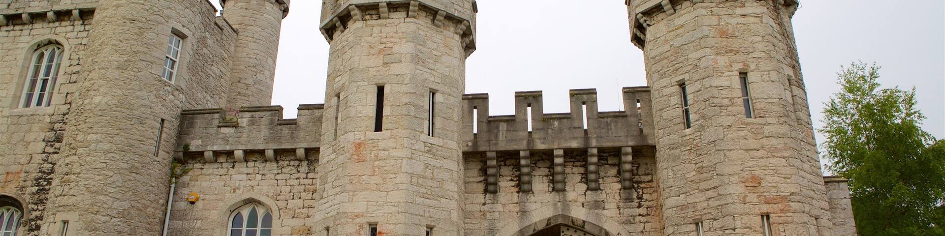 Bodelwyddan Castle showing a castle and heritage elements