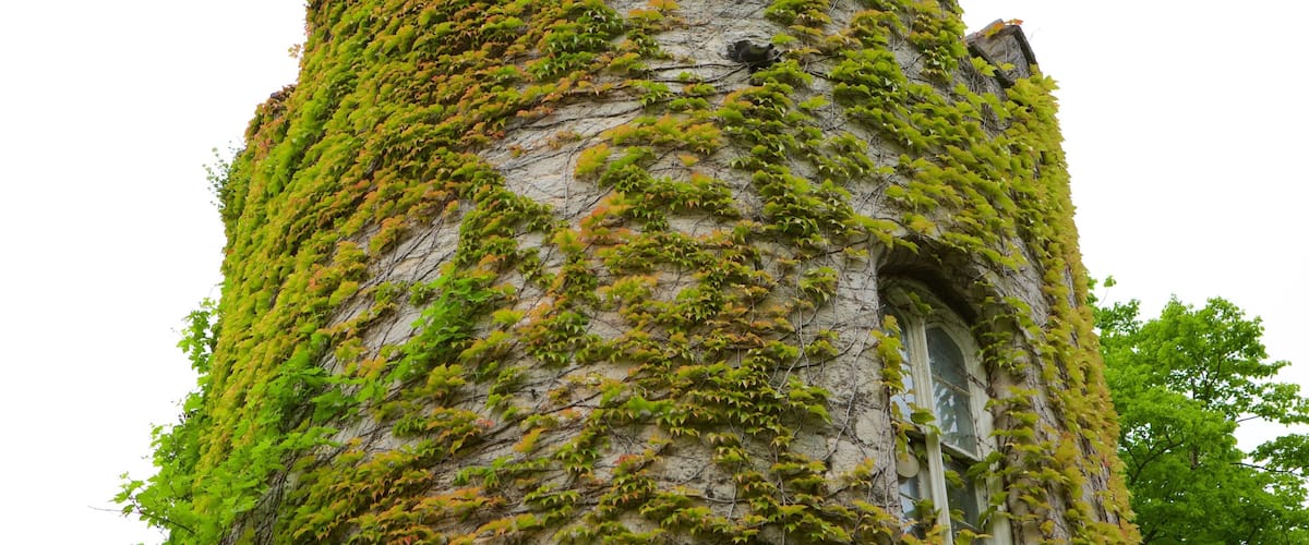 Bodelwyddan Castle showing chateau or palace and heritage elements