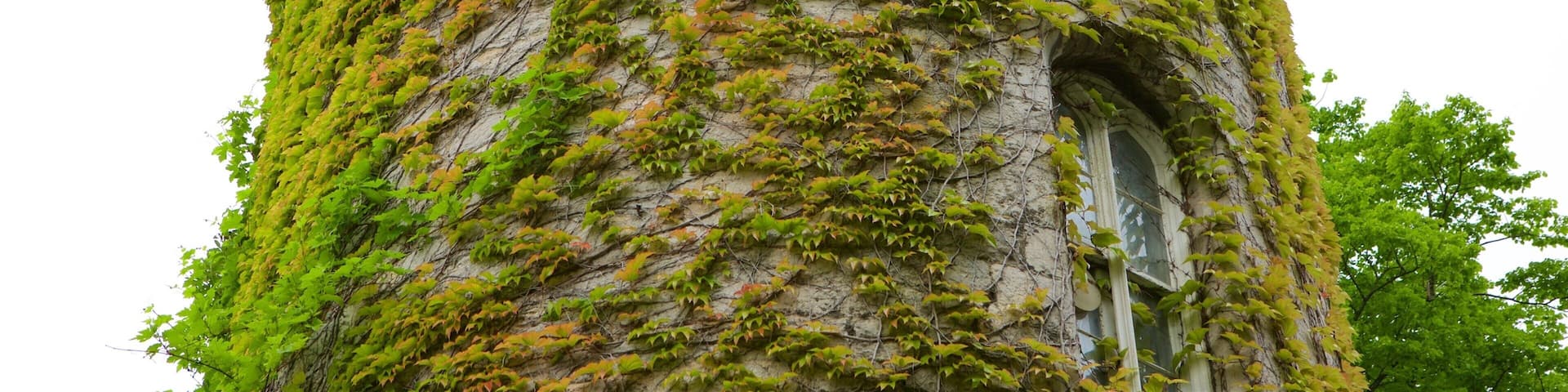 Bodelwyddan Castle showing chateau or palace and heritage elements