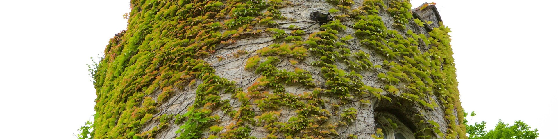 Bodelwyddan Castle showing chateau or palace and heritage elements