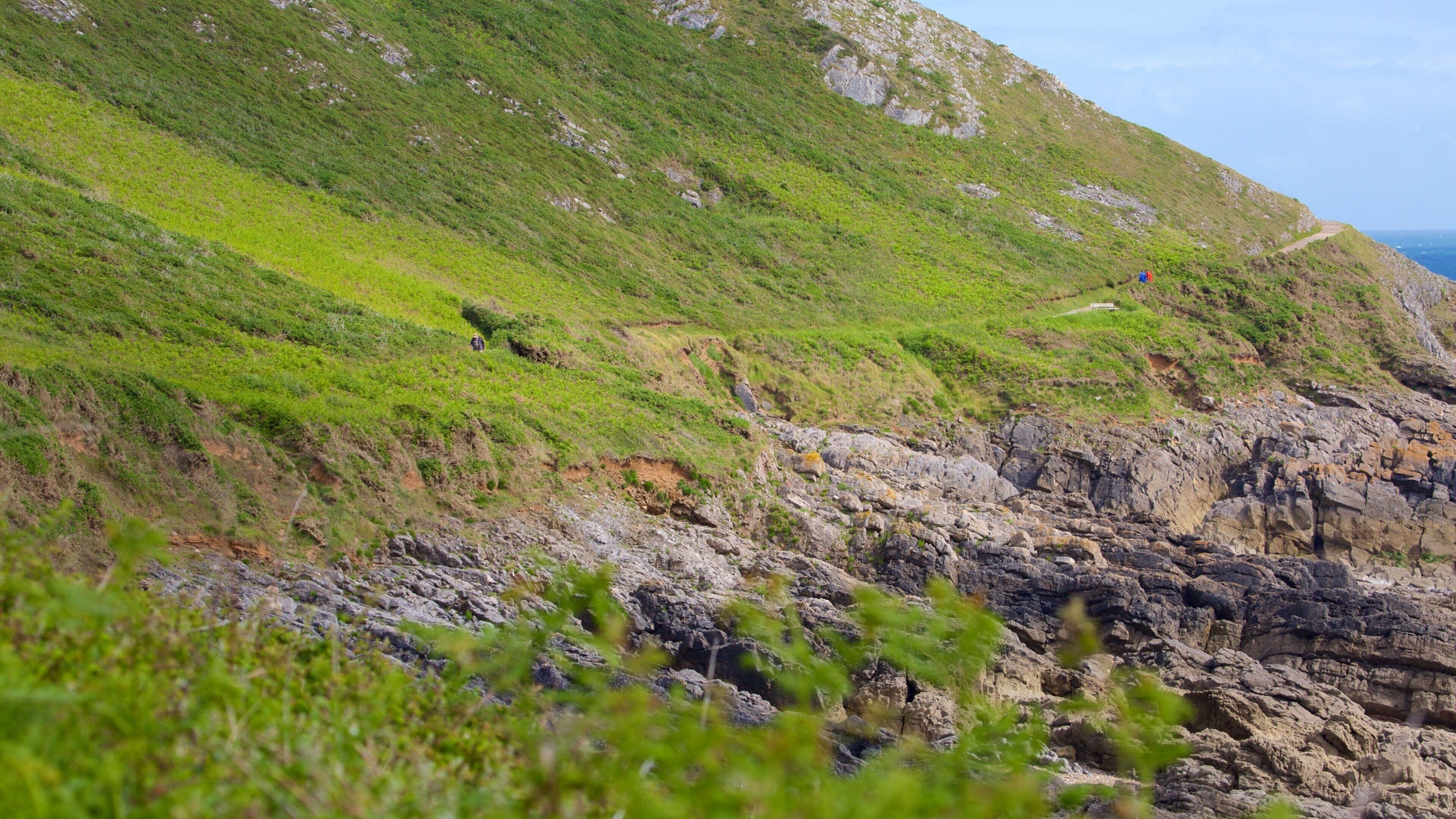 Playa de la bahía de Caswell mostrando escenas tranquilas