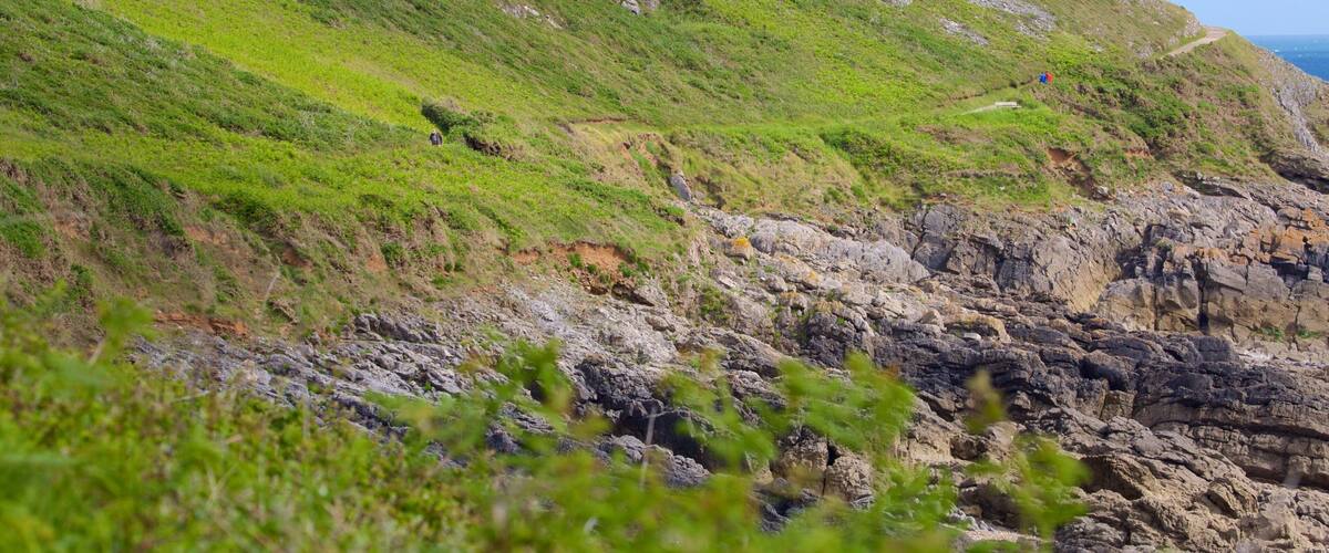 Caswell Bay Beach featuring tranquil scenes