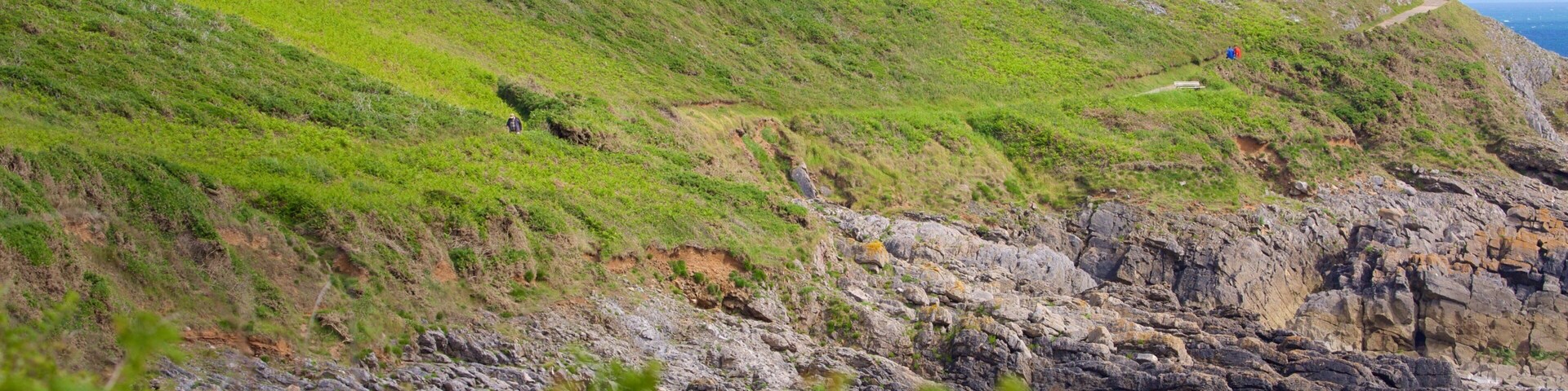 Playa de la bahía de Caswell que incluye escenas tranquilas