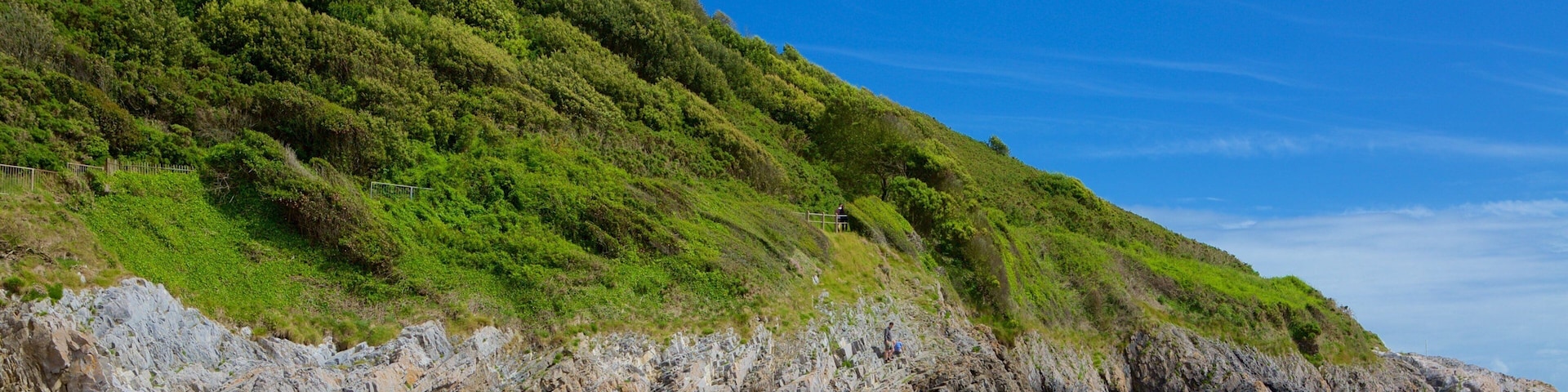 Caswell Bay Beach which includes a sandy beach