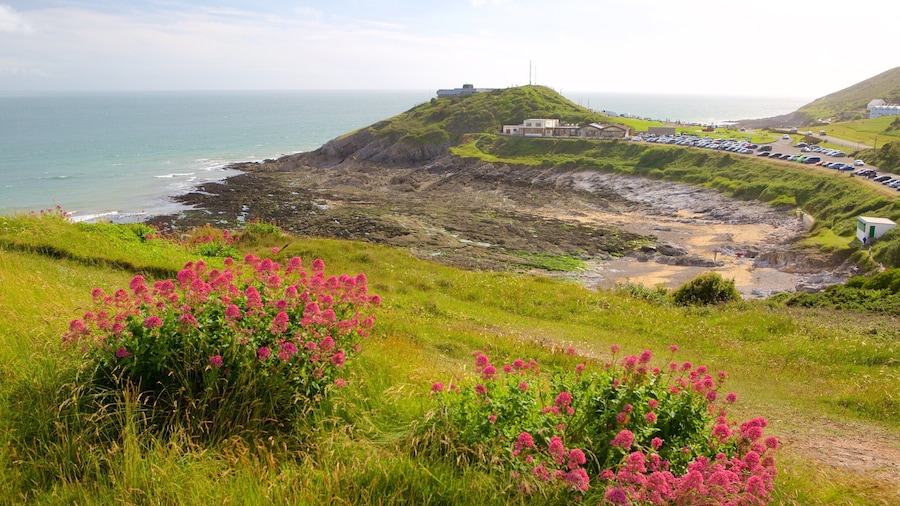 Bracelet Bay Beach som inkluderar kustutsikter och blommor