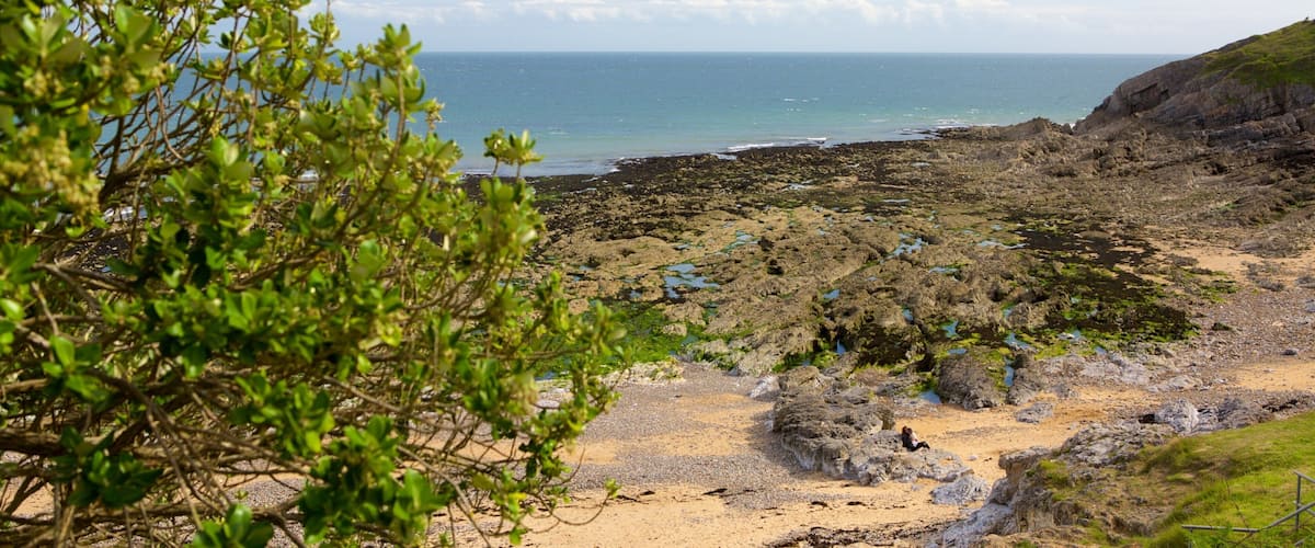 ๋ธ๋ ์ด์ค๋ฆฟ ๋ฒ ์ด ๋น์น ์ด ํฌํจ ์ผ๋ฐ ํด์ ์ ๊ฒฝ ๊ณผ ์์ ํด์์