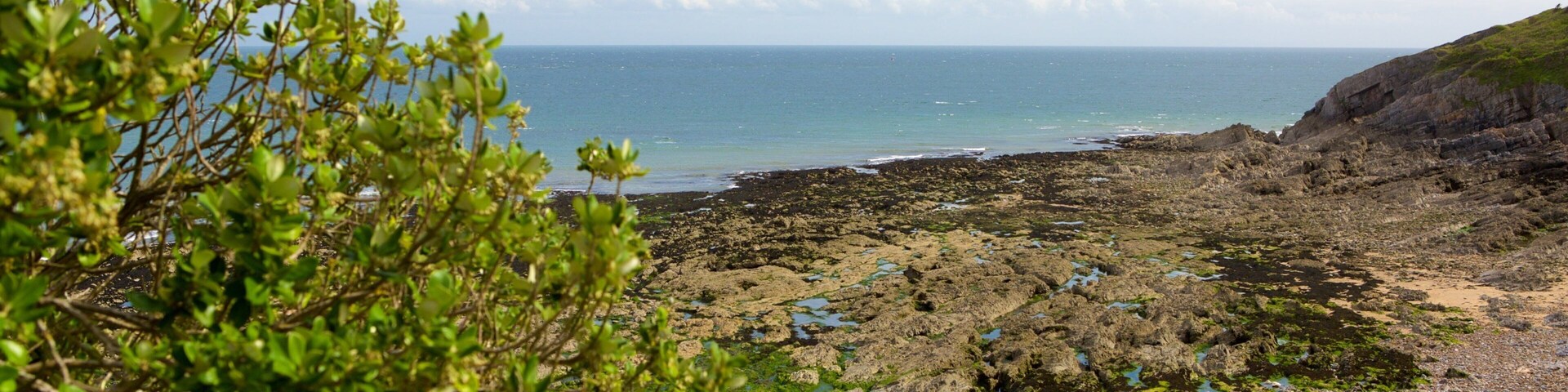 Bracelet Bay Beach featuring rocky coastline and general coastal views