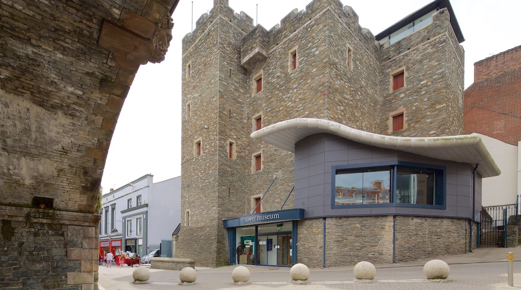 Tower Museum showing heritage elements, heritage architecture and modern architecture