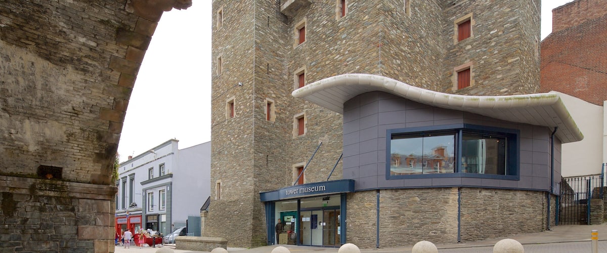 Tower Museum toont moderne architectuur, een kasteel en historisch erfgoed