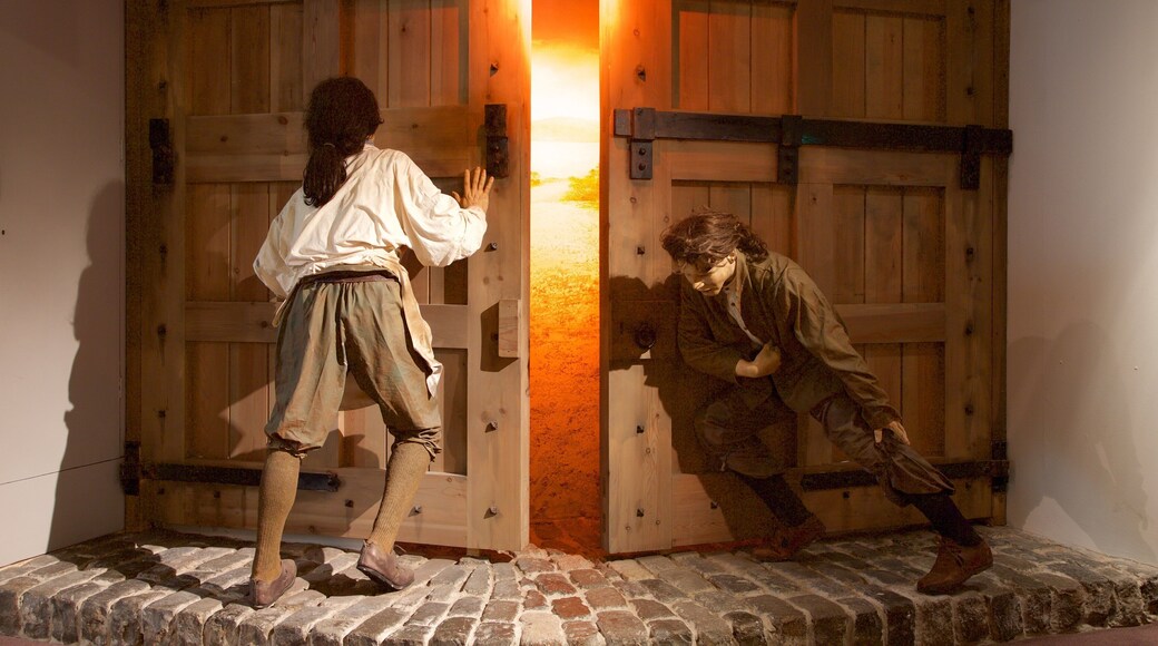 Tower Museum som viser innendørs