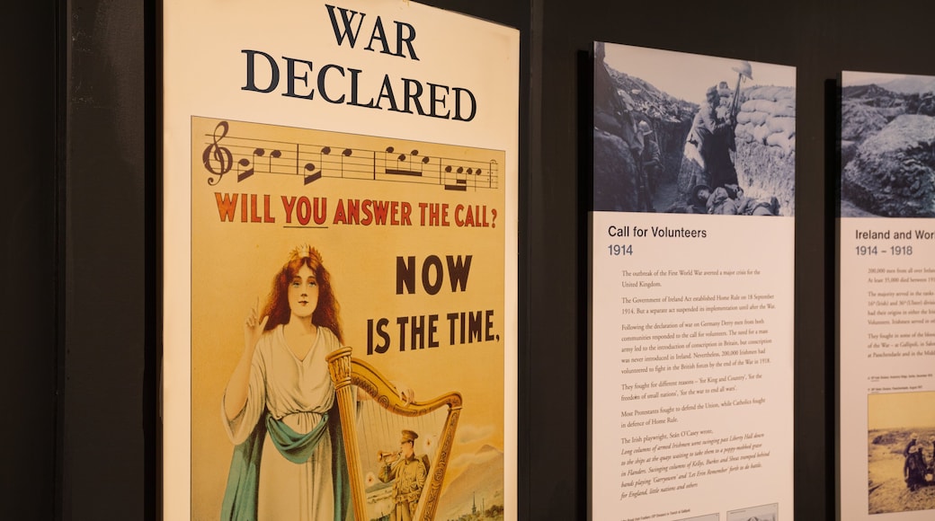 Tower Museum featuring signage