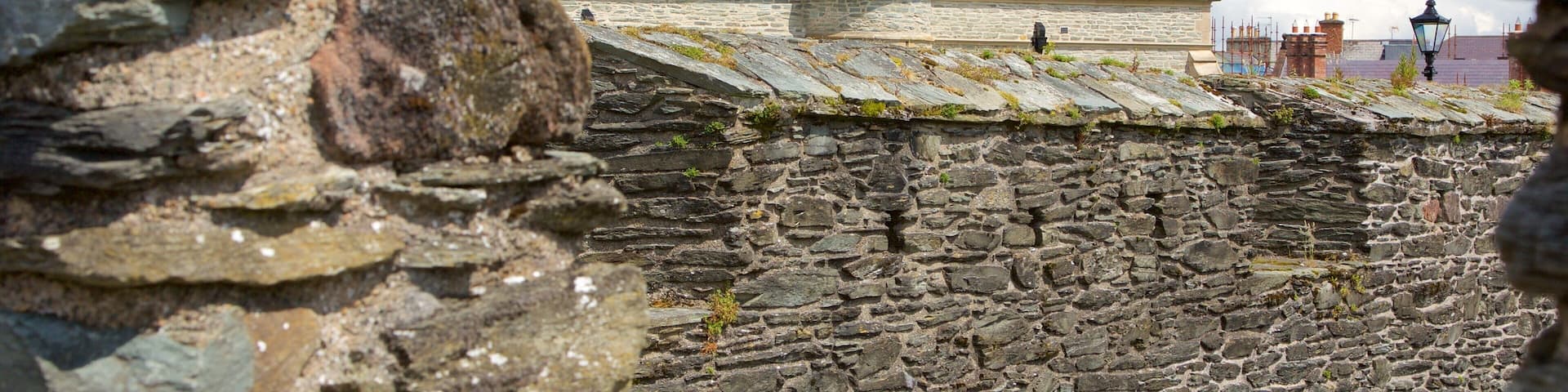 Derry City Walls showing heritage architecture and heritage elements