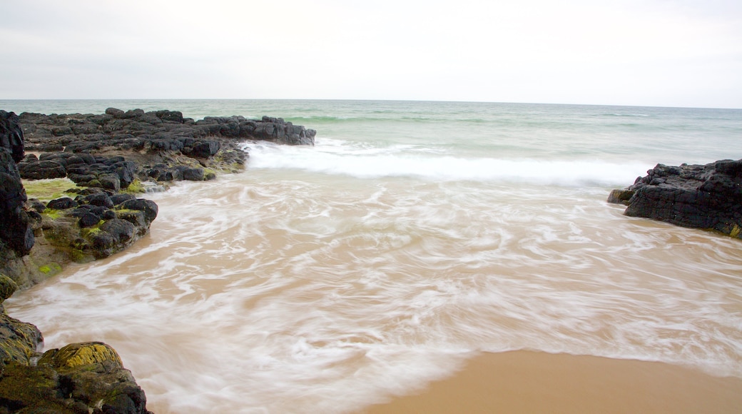 Castlerock Beach which includes rocky coastline, general coastal views and a beach