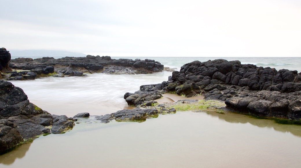 Castlerock Beach showing general coastal views, a beach and rocky coastline