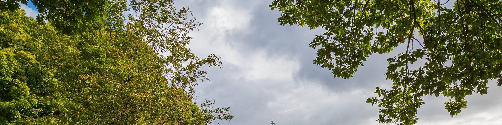 Glenarm Castle showing a park, a castle and heritage architecture