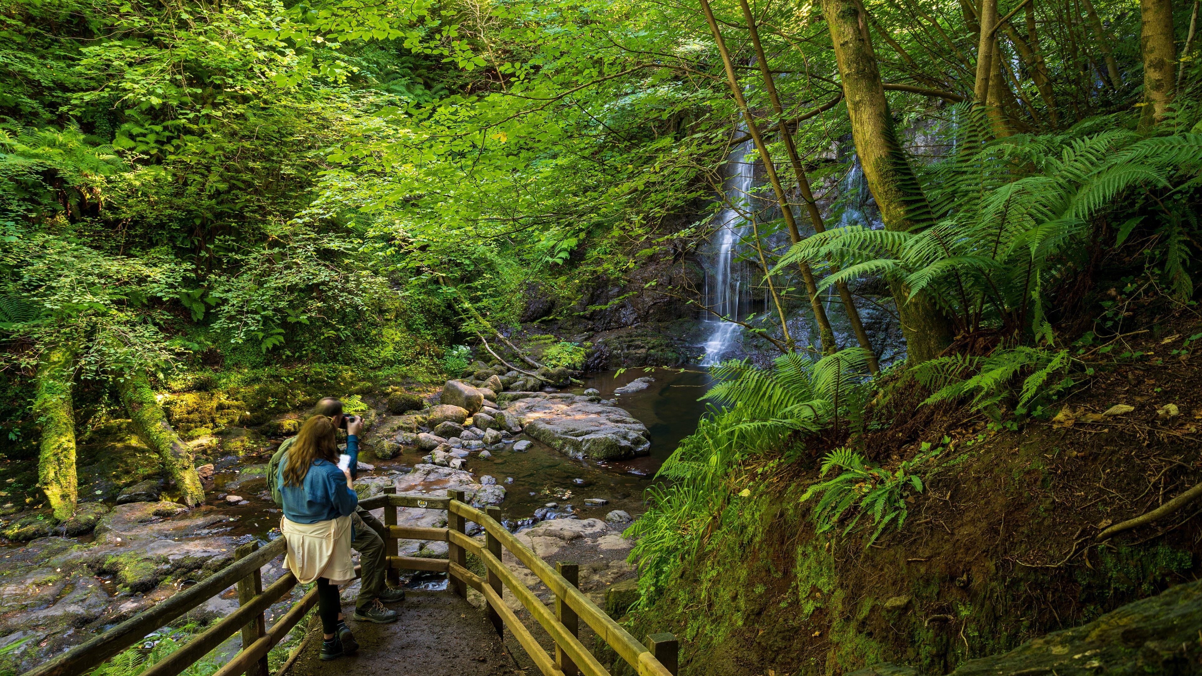 Glenariff Forest Park which includes a waterfall, forests and a river or creek